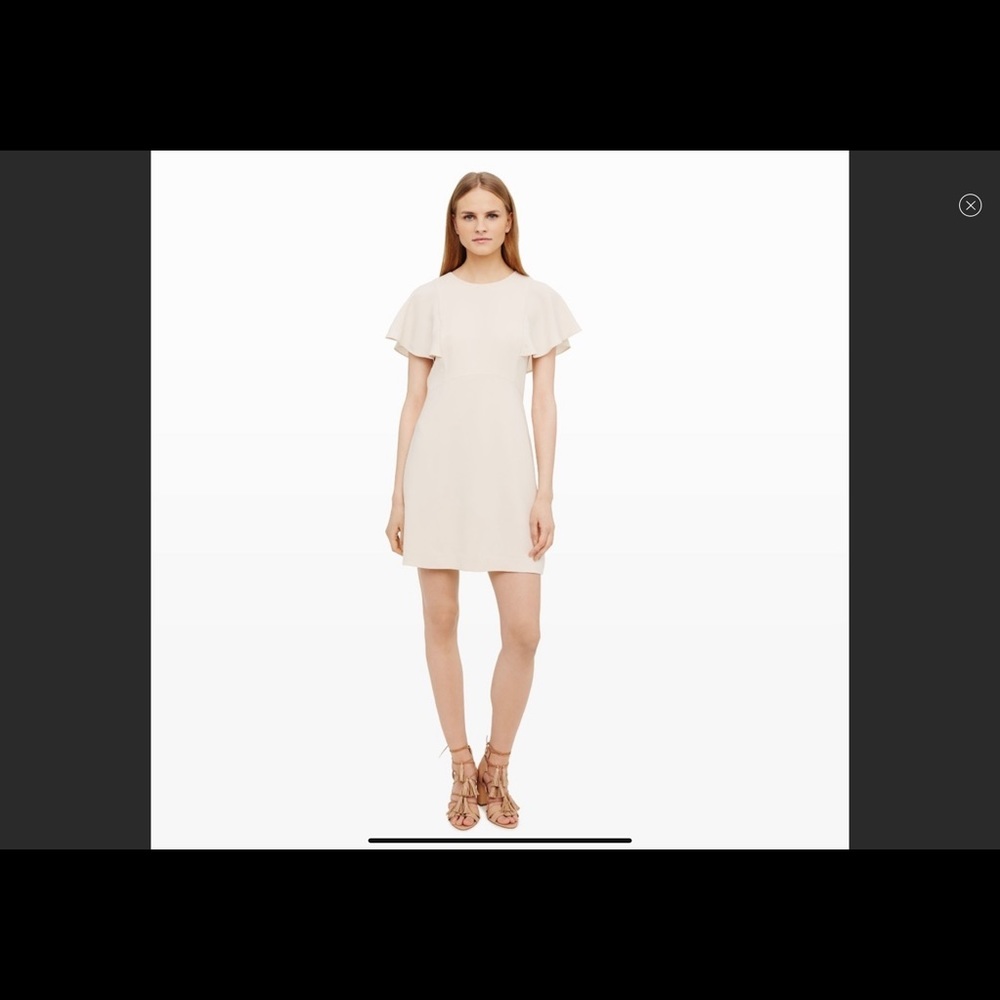CLUB MONACO Cream Flutter Sleeve Sheath Dress Size 8